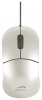 SPEEDLINK SNAPPY mouse SL-6142-PWT Pearl White USB, SPEEDLINK SNAPPY mouse SL-6142-PWT Pearl White recensione USB, SPEEDLINK SNAPPY mouse SL-6142-PWT Pearl White specifiche USB, specifiche Speedlink SNAPPY mouse SL-6142-PWT Pearl White USB, rassegna SPE