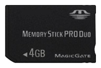 Apacer memory card, scheda di memoria Apacer Memory Stick PRO Duo 4 GB, scheda di memoria Apacer, Memory Stick PRO Duo memory card Apacer 4GB, bastone di memoria Apacer, il bastone di memoria Apacer, Apacer Memory Stick PRO Duo 4 GB, Apacer Memory Stick PRO Duo da 4 GB specifiche, Ap