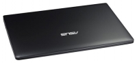 ASUS X501U (C-60 1000 Mhz/15.6"/1366x768/2048Mb/320Gb/DVD no/Wi-Fi/Bluetooth/Win 7 HB) photo, ASUS X501U (C-60 1000 Mhz/15.6"/1366x768/2048Mb/320Gb/DVD no/Wi-Fi/Bluetooth/Win 7 HB) photos, ASUS X501U (C-60 1000 Mhz/15.6"/1366x768/2048Mb/320Gb/DVD no/Wi-Fi/Bluetooth/Win 7 HB) immagine, ASUS X501U (C-60 1000 Mhz/15.6"/1366x768/2048Mb/320Gb/DVD no/Wi-Fi/Bluetooth/Win 7 HB) immagini, ASUS foto