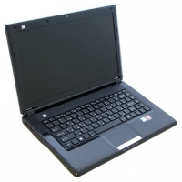 laptop DNS, notebook DNS Home 0123323 (Athlon II P320 2100 Mhz/14