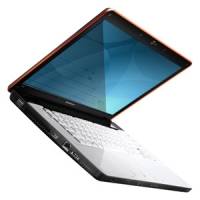 laptop Lenovo, notebook Lenovo IdeaPad Y550 (Core 2 Duo P8700 2530 Mhz/15.6