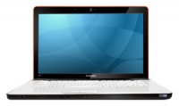 laptop Lenovo, notebook Lenovo IdeaPad Y550 (Core i3 380M 2530 Mhz/15.6