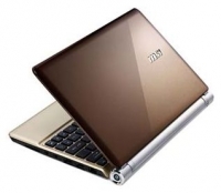 laptop MSI, notebook MSI Wind U160 (Atom N450 1660 Mhz/10.0