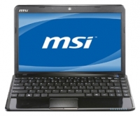 laptop MSI, notebook MSI Wind U270 (E-350 1600 Mhz/11.6