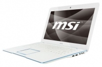 laptop MSI, notebook MSI X-Slim X430 (Athlon Neo X2 L335 1600 Mhz/14.1