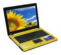 laptop Roverbook, notebook Roverbook NAVIGATOR V212L (Core 2 Duo T5750 2000 Mhz/12.1