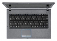 laptop Samsung, notebook Samsung P430 Pro (Core i3 330M  2130 Mhz/14