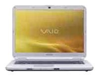 laptop Sony, notebook Sony VAIO VGN-NS110E (Pentium Dual-Core T3200 2000 Mhz/15.4