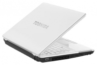 Toshiba PORTEGE M800-114 (Core 2 Duo P8400 2260 Mhz/13.3"/1280x800/4096Mb/320.0Gb/DVD-RW/Wi-Fi/Bluetooth/Win Vista Business) photo, Toshiba PORTEGE M800-114 (Core 2 Duo P8400 2260 Mhz/13.3"/1280x800/4096Mb/320.0Gb/DVD-RW/Wi-Fi/Bluetooth/Win Vista Business) photos, Toshiba PORTEGE M800-114 (Core 2 Duo P8400 2260 Mhz/13.3"/1280x800/4096Mb/320.0Gb/DVD-RW/Wi-Fi/Bluetooth/Win Vista Business) immagine, Toshiba PORTEGE M800-114 (Core 2 Duo P8400 2260 Mhz/13.3"/1280x800/4096Mb/320.0Gb/DVD-RW/Wi-Fi/Bluetooth/Win Vista Business) immagini, Toshiba foto