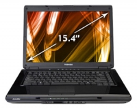 laptop Toshiba, notebook Toshiba SATELLITE L300D-ST3503 (Athlon X2 QL-65 2100 Mhz/15.4