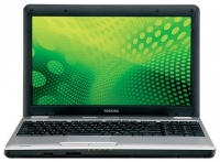 laptop Toshiba, notebook Toshiba SATELLITE L505D-LS5005 (Athlon II M300 2000 Mhz/15.6