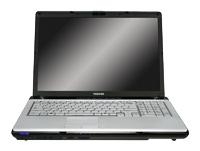 laptop Toshiba, notebook Toshiba SATELLITE P205-S6247 (Pentium Dual-Core T2080 1730 Mhz/17.0