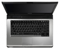 laptop Toshiba, notebook Toshiba SATELLITE PRO L300-EZ1005X (Core 2 Duo T8100 2100 Mhz/15.4
