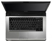laptop Toshiba, notebook Toshiba SATELLITE PRO L300-EZ1521 (Pentium Dual-Core T4200 2000 Mhz/15.4